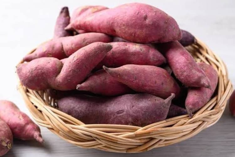 शकरकंद को लंबे समय तक ताजा कैसे रखें? जानिए सही स्टोरेज टिप्स और बड़ी गलतियां