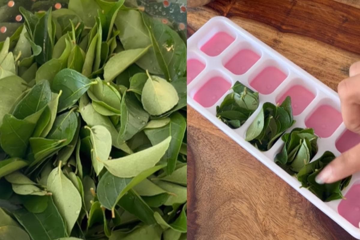 करी पत्ता हफ्तों तक फ्रेश रखने के लिए अपनाएं ध्रुवि मेहता के टिप्स