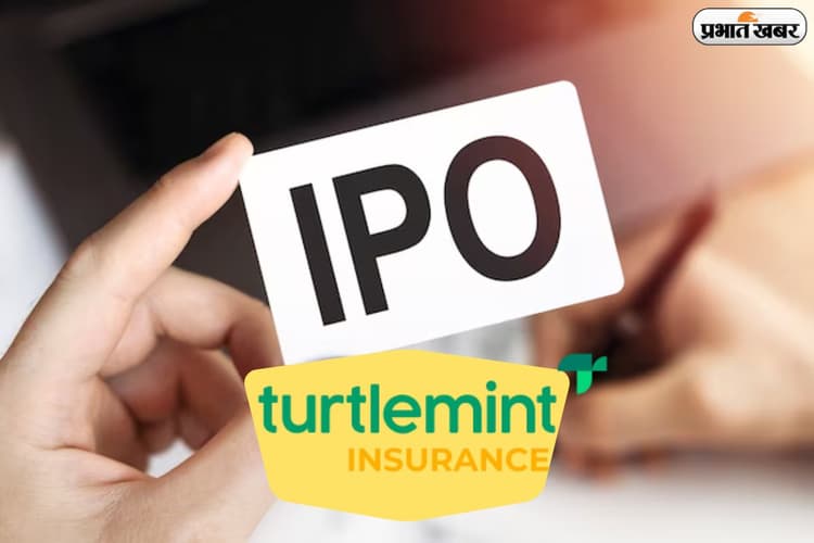 गांव-गांव बीमा पहुंचाने वाली कंपनी टर्टलमिनट का IPO तैयार, अब निवेशकों की चमकेगी किस्मत