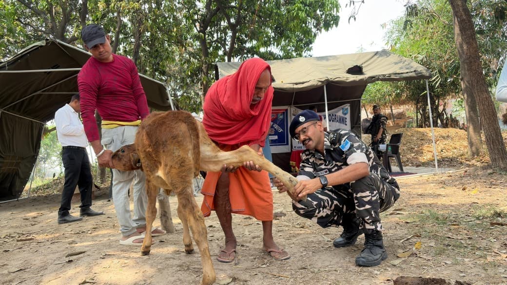 शिविर में 294 पालतू पशुओं का हुआ उपचार