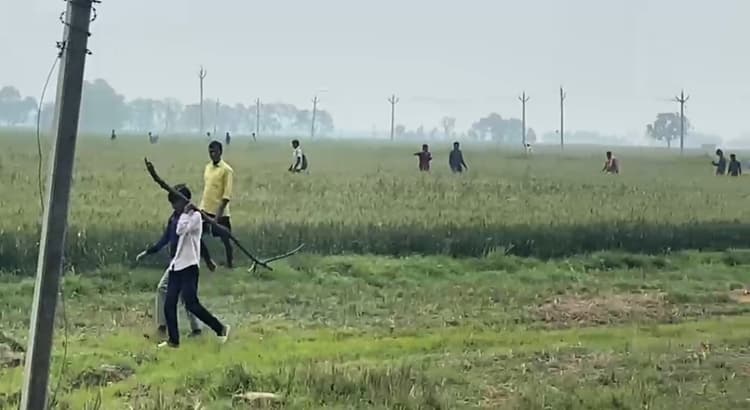 भानस गांव में चार लकड़बग्घा दिखने से ग्रामीणों में दहशत, खेतों में जाने से कतरा रहे किसान