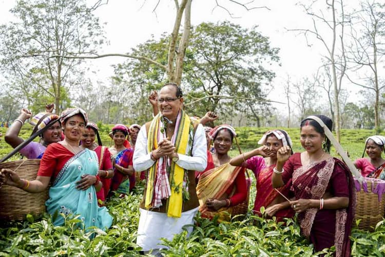 असम : चुनावी मौसम में चाय बागान मजदूरों को लुभाने की होड़