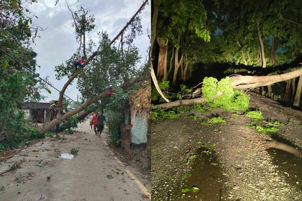 Bagaha News storm rain power outage damage electricity restoration 2026