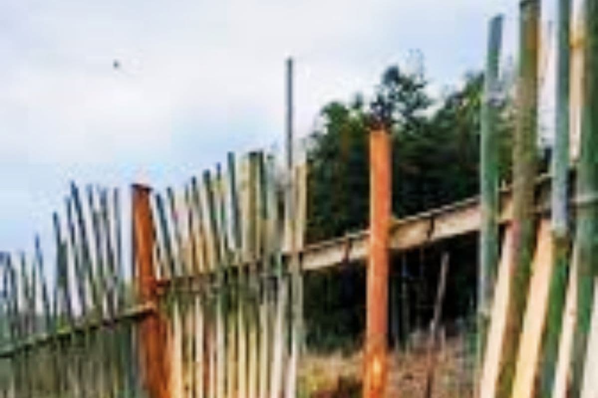 Bamboo Fencing Polling Booths West Bengal Election 2026