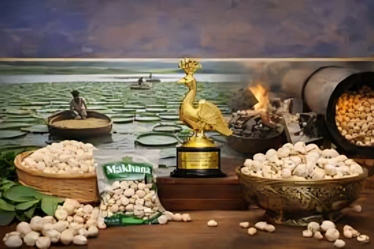 बिहार को मिला प्रतिष्ठित गोल्डन पीकॉक अवार्ड, मखाना बन रहा ब्रांड बिहार