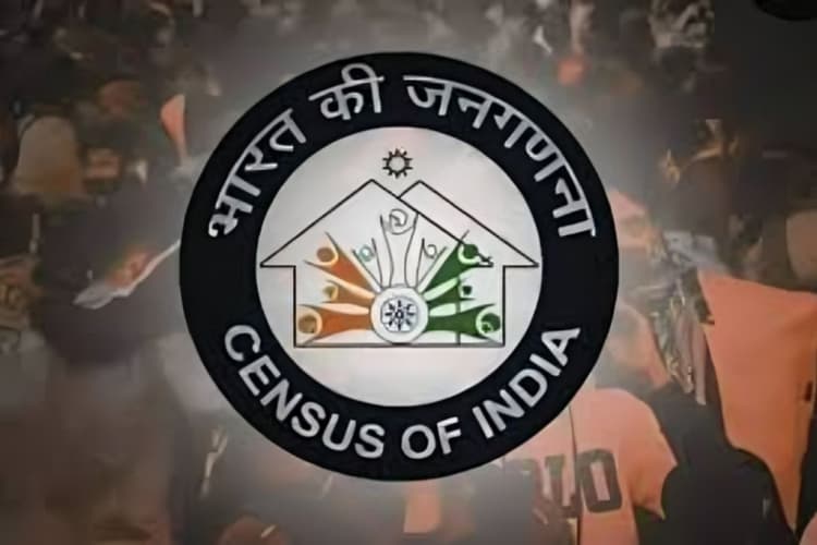 कल से 1 मई तक खुद भर सकेंगे जनगणना के 33 सवाल, जानें कैसे काम करेगा पूरा प्रोसेस