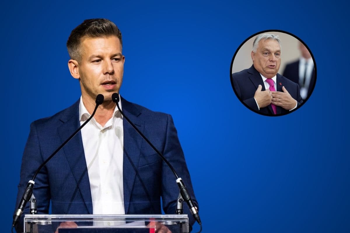 Hungary Election Results viktor orban defeated by peter magyar