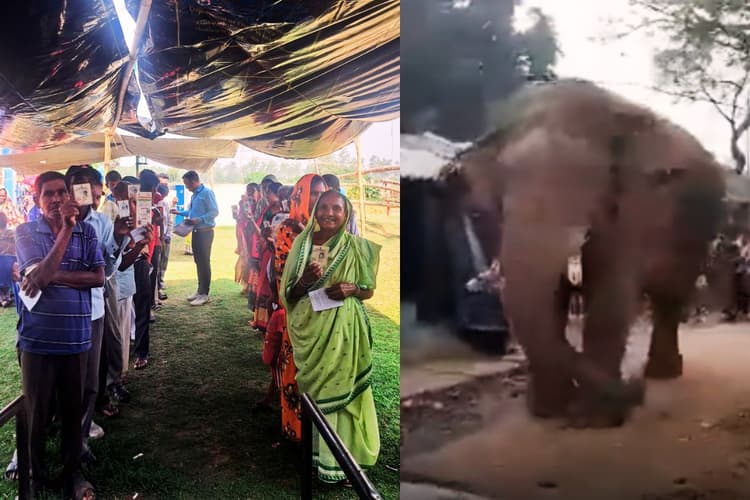 बंगाल चुनाव 2026: झारग्राम में बूथ पर आ धमका विशालकाय हाथी ‘रामलाल’, ईवीएम छोड़ गजराज को देखने लगे वोटर, देखें Video