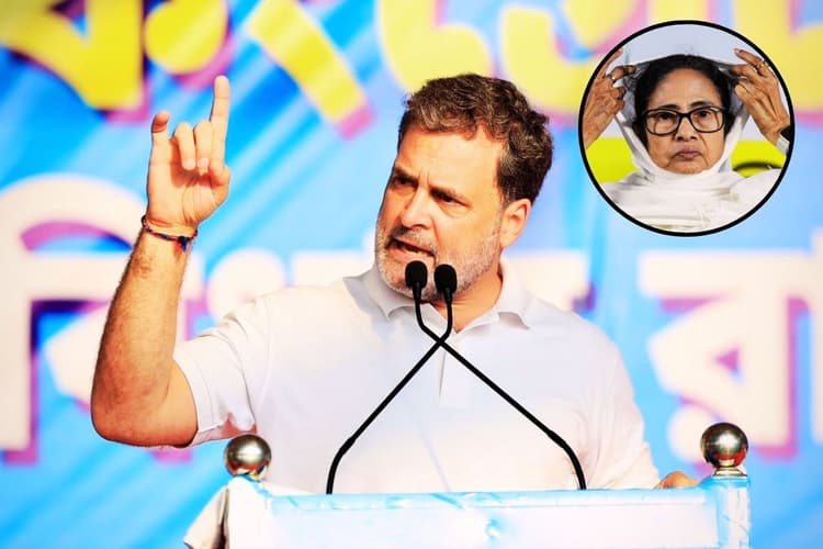 ममता बनर्जी सरकार पर राहुल गांधी का हमला- बंगाल में लोकतंत्र नहीं, TMC के आतंक का राज, हिंसा के आगे नहीं झुकेगी कांग्रेस