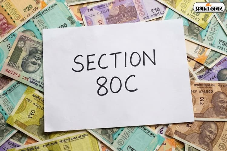 इनकम टैक्स बचाने का स्मार्ट तरीका, Section 80C से ₹1.5 लाख की बचत करें