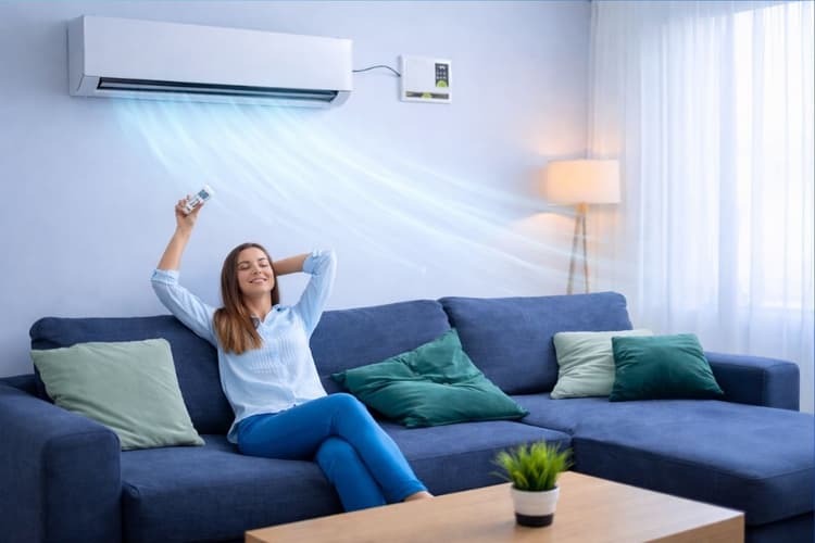 AC और स्टेबलाइजर का कॉम्बिनेशन जरूरी है या फिजूलखर्ची?