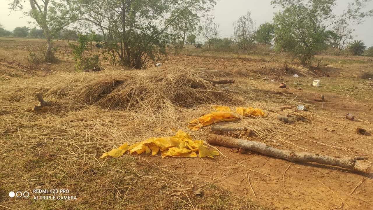 Chaibasa News : अकेला हाथी ने तीन माह में 25 ग्रामीणों को मार डाला, तीन राज्यों की टीम नहीं कर पा रही काबू