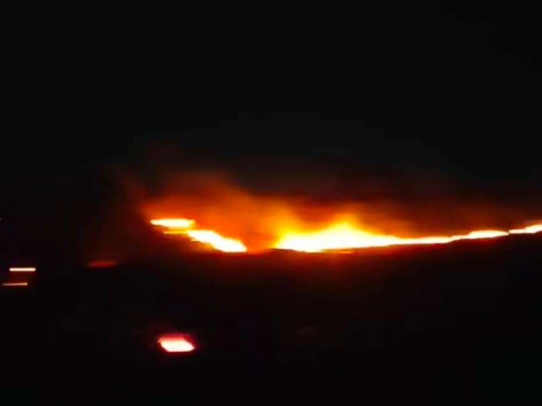 Giridih News :10 बागवानी में लगी आग, डेढ़ हजार पेड़ों को नुकसान