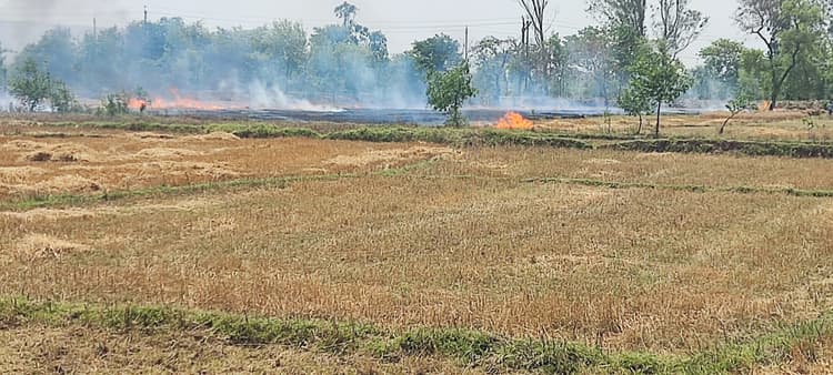 भगवानपुर-जैतपुरकला पथ के दो हिस्सों में लगी आग