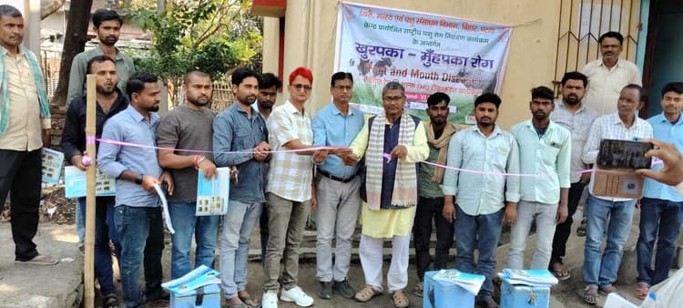 शिविर में 150 बांझ पशुओं का हुआ मुफ्त इलाज