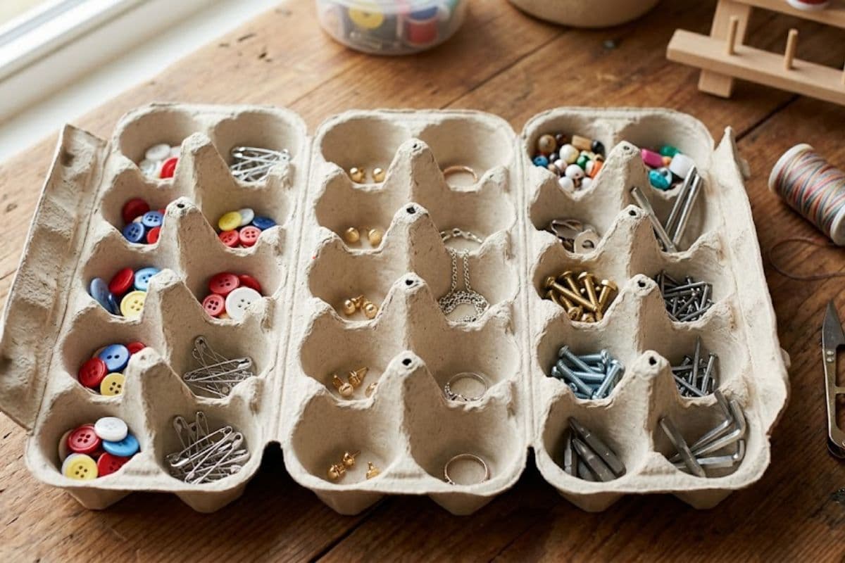 organizer
