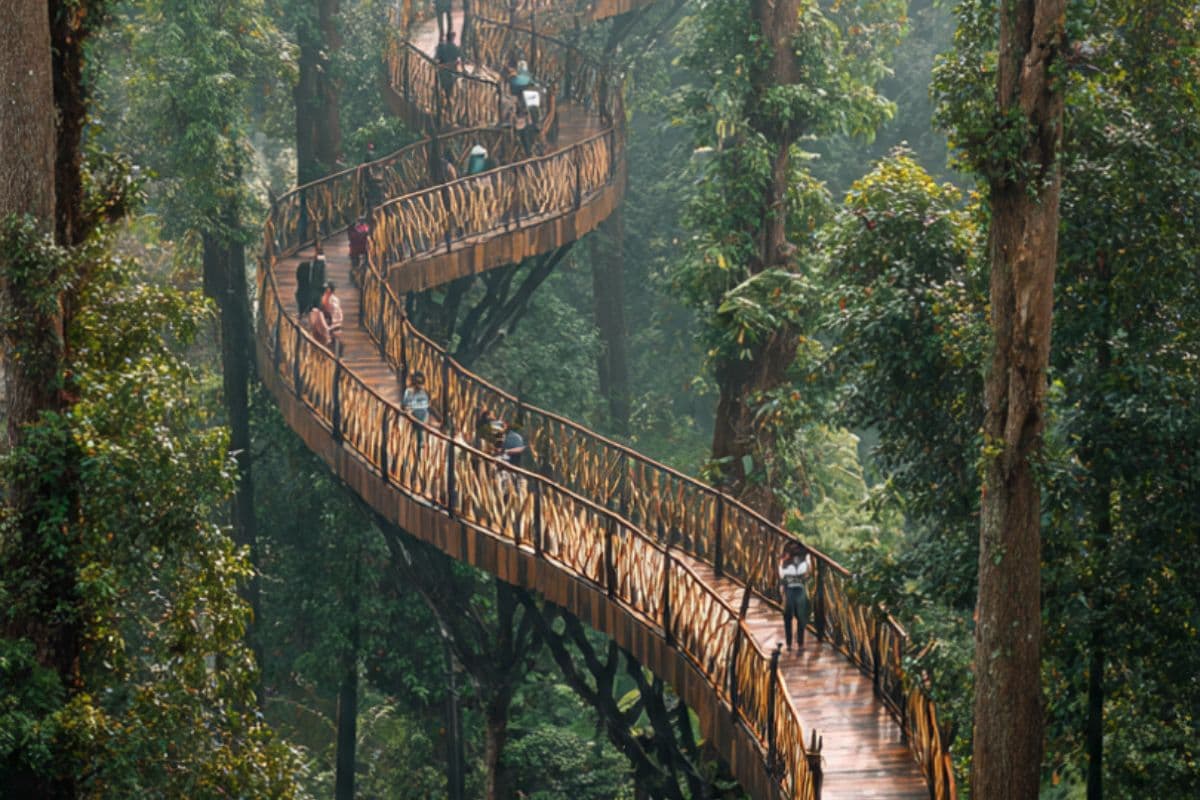 Place first tree top walk way built patna zoo Place first tree top walk way built patna zoo