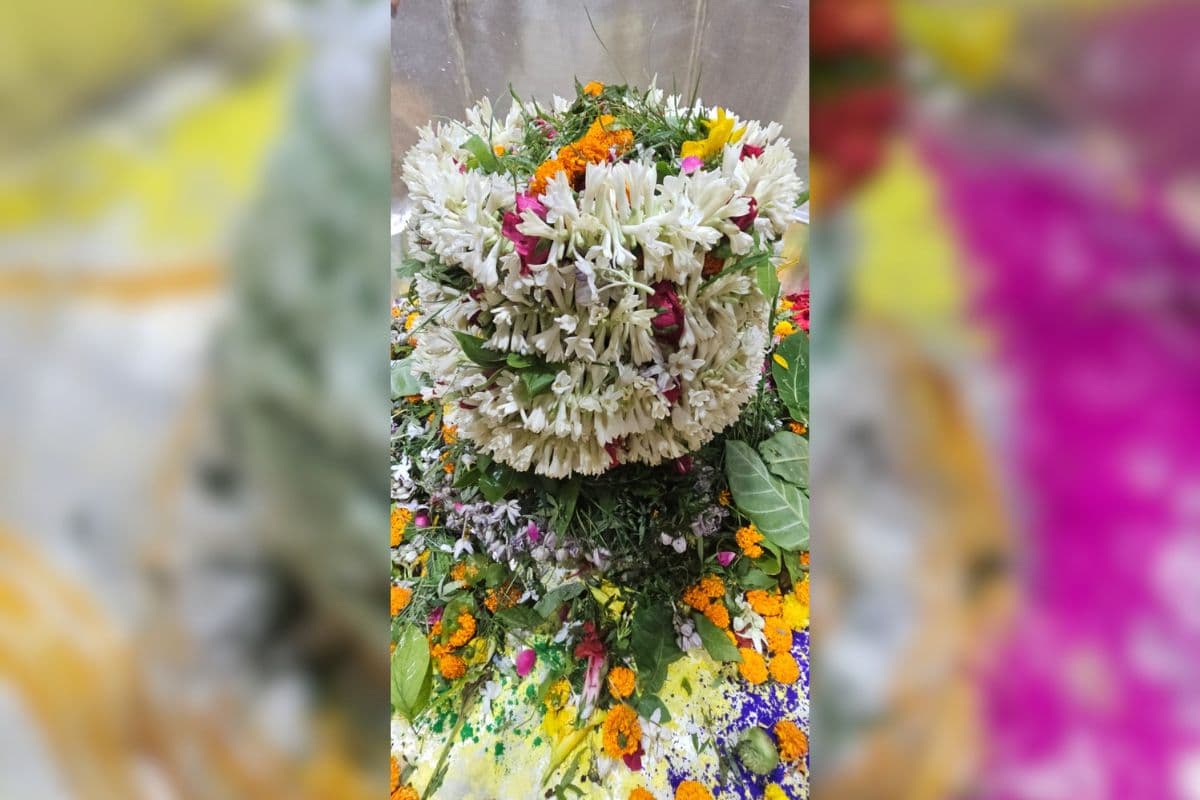 Aaj Ka Darshan: 'जय गरीबनाथ' के जयकारों से गूंजा मंदिर, रविवार सुबह 5 बजे षोड्शोपचार विधि से हुई बाबा की महापूजा