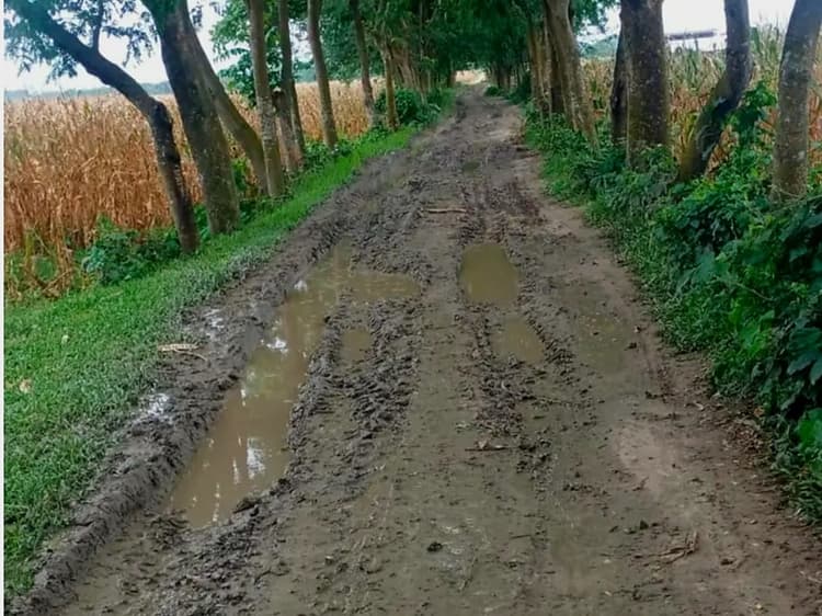 आजादी के 7 दशक बाद भी कच्ची है सड़क, हल्की बारिश में कीचड़ से लबालब हुआ गोबिंदपुर-डेंगा बस्ती मार्ग