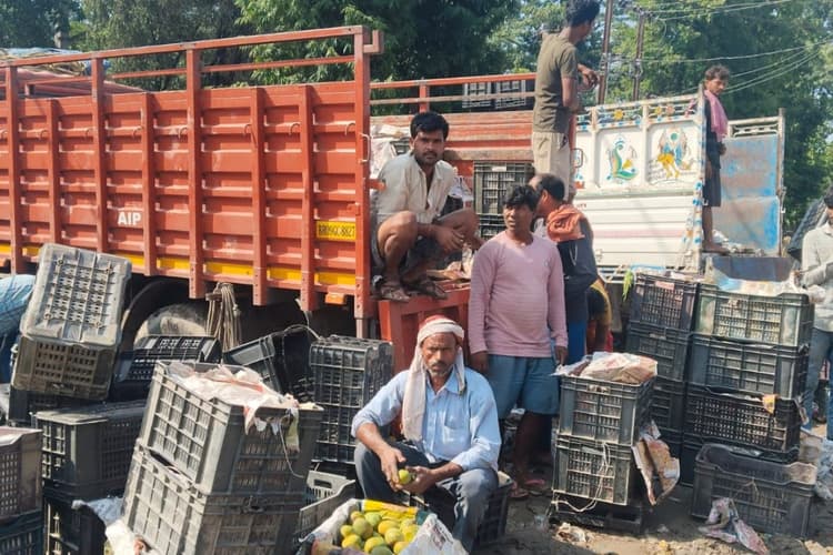Motihari News: ₹3000 से ₹4000 क्विंटल बिक रहा बंगाल का आम, फल मंडी में खरीदारों की भारी भीड़