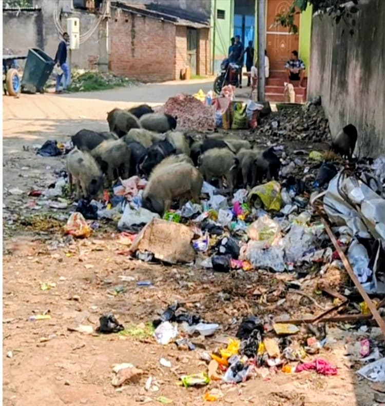मंदिर और शिक्षण संस्थान के पास कचरा डंपिंग का विरोध, समाजसेवी ने दी आमरण अनशन की चेतावनी