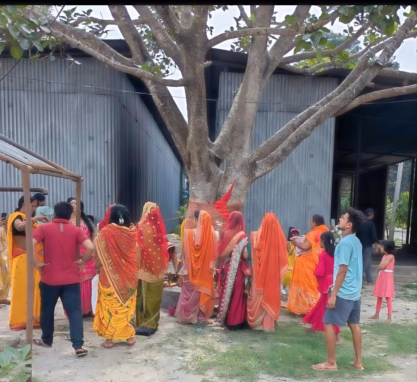 पति की लंबी आयु के लिए महिलाओं ने की वट वृक्ष की पूजा