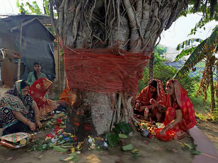 पति की लंबी आयु के लिए सुहागिन महिलाओं ने रखा वट सावित्री व्रत