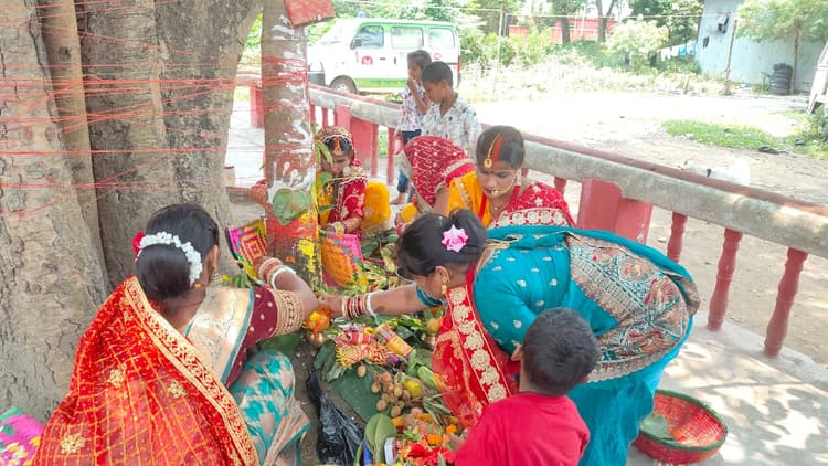 सुहागिन महिलाओं ने श्रद्धा और उल्लास के साथ मनाया वट सावित्री व्रत