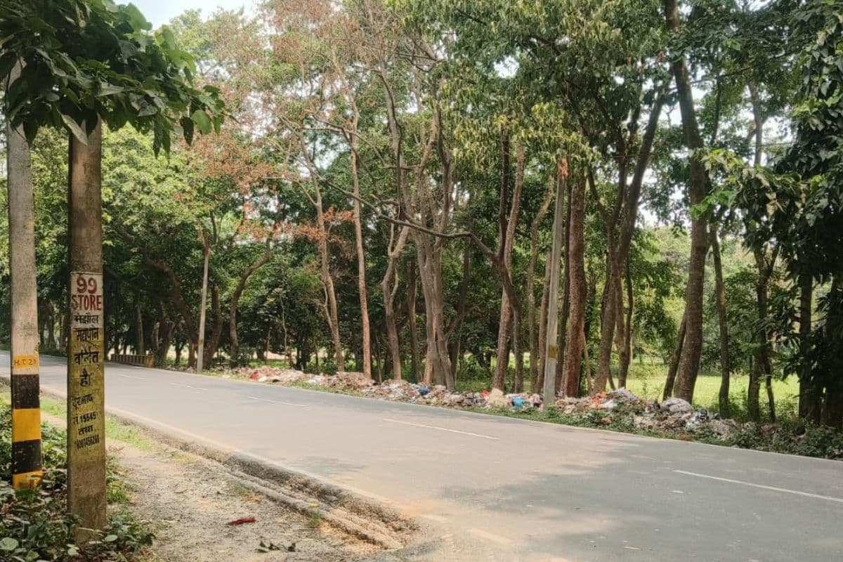 Begusarai News: जल जीवन हरियाली अभियान को मुंह चिढ़ा रहा कचरे का अंबार, सड़क किनारे सूखने लगे पेड़