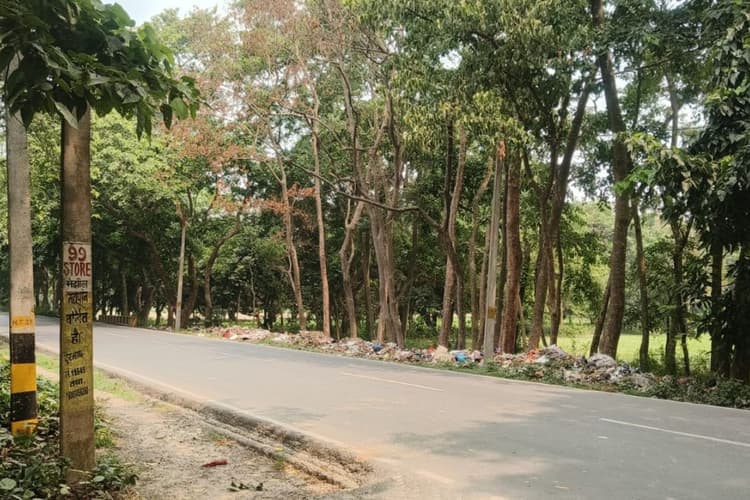 Begusarai News: जल जीवन हरियाली अभियान को मुंह चिढ़ा रहा कचरे का अंबार, सड़क किनारे सूखने लगे पेड़