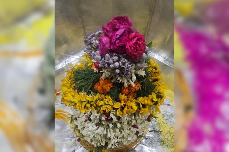 Aaj ka Darshan: बाबा गरीबनाथ मंदिर में उमड़ा आस्था का सैलाब, फूलों और बेलपत्र से हुआ अलौकिक शृंगार