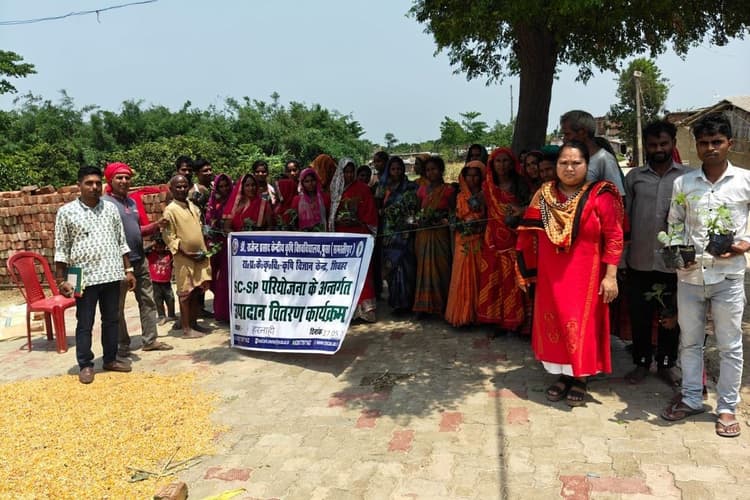 Organic Farming Sheohar: हरनाही में संतुलित उर्वरक उपयोग पर प्रशिक्षण, किसानों के बीच बांटे गए पौधे
