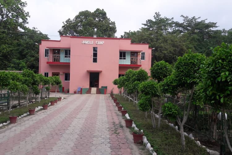 Jungle Camp Valmikinagar: वीटीआर पहुंचे विदेशी सैलानी, हरनाटांड़ के विवाह समारोह और प्रकृति का उठाएंगे आनंद
