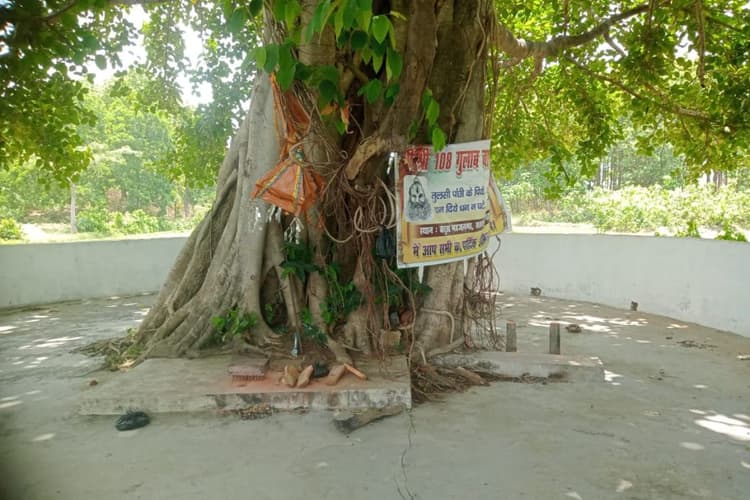 लखीसराय में सतघरवा कोड़ासी का ऐतिहासिक मेला, जहां सदियों से कायम है आस्था