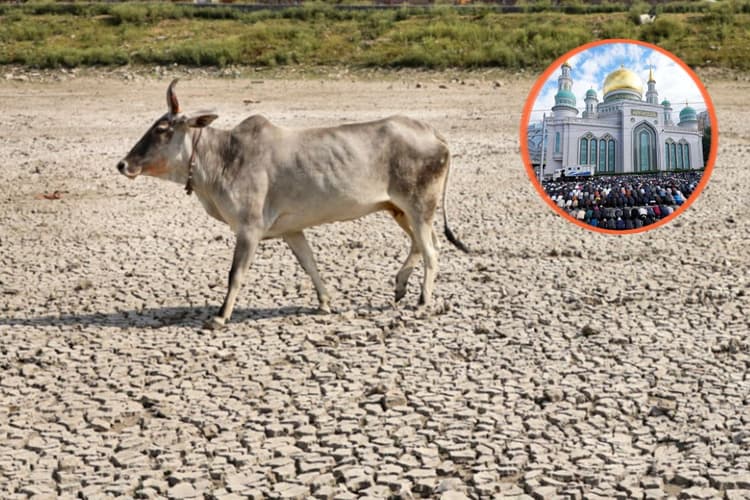 मद्रास हाईकोर्ट का फैसला, बकरीद पर गाय की कुर्बानी पर पूरे राज्य में रोक