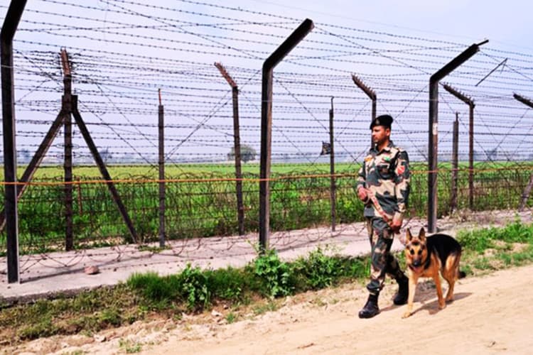 शुभेंदु अधिकारी ने गौ-तस्करी पर कस दिया शिकंजा, पहली कैबिनेट में लिया बड़ा फैसला
