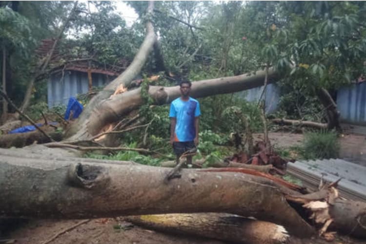 Chaibasa: मझगांव व कुमारडुंगी में आंधी-पानी ने मचायी तबाही, कई पेड़ उखड़े, मकान क्षतिग्रस्त