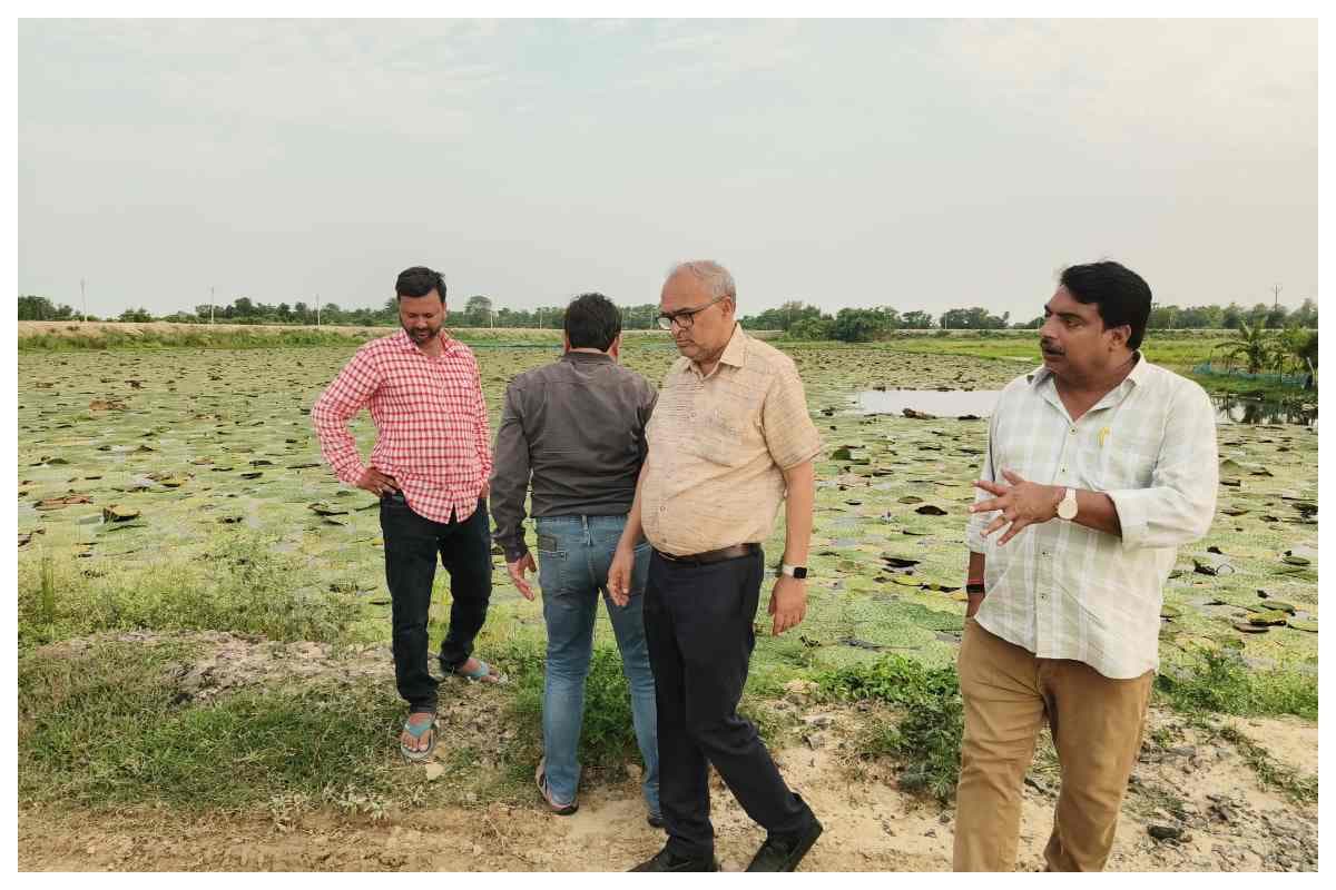 बिचौलियों से मुक्त होगा मिथिला का मखाना, आईएफपीआरआई की टीम ने मखाना के अंतरराष्ट्रीय एक्सपोर्ट पर दिया बड़ा भरोसा