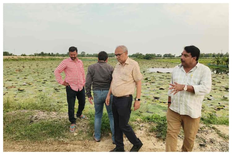 बिचौलियों से मुक्त होगा मिथिला का मखाना, आईएफपीआरआई की टीम ने मखाना के अंतरराष्ट्रीय एक्सपोर्ट पर दिया बड़ा भरोसा