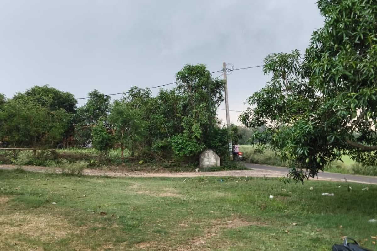 दरभंगा: बेमौसम बारिश से किसानों की बढ़ी चिंता, मूंग फसल को भारी नुकसान
