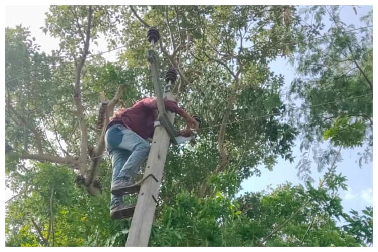 दरभंगा: कमतौल में तेज आंधी और बारिश से बदला मौसम, घंटों गुल रही बिजली