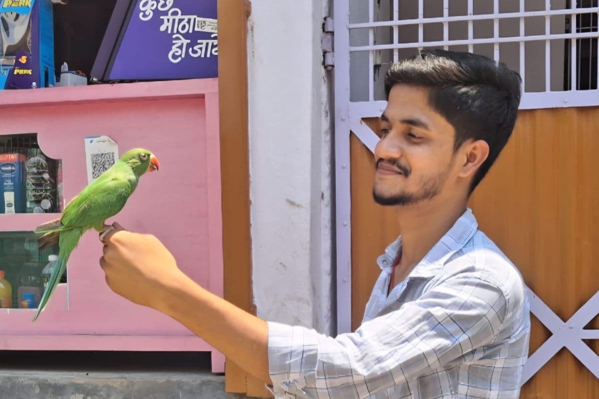 Darbhanga News pet parrot meethi returns home after getting angry