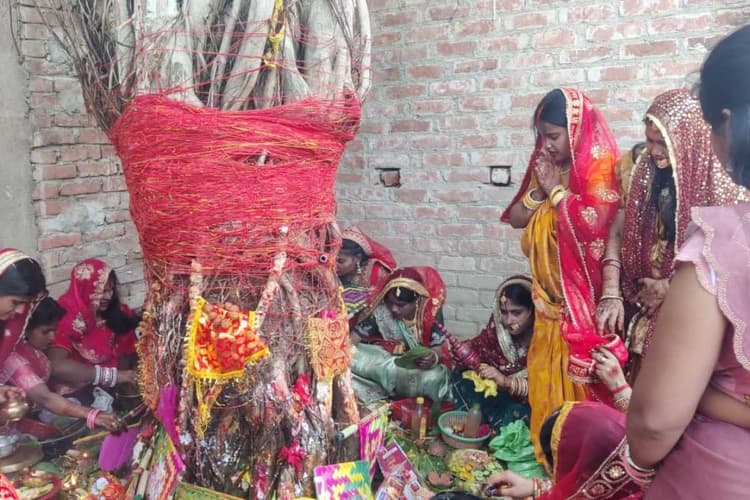 दरभंगा: श्रद्धा के साथ मनाया गया वट सावित्री पर्व, पति की लंबी उम्र के लिए सुहागिनों ने की पूजा