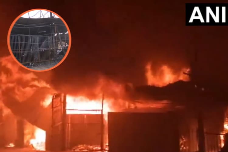 Delhi Fire: देर से पहुंची दमकल तो भड़की भीड़, फायर ब्रिगेड की गाड़ियों पर पथराव