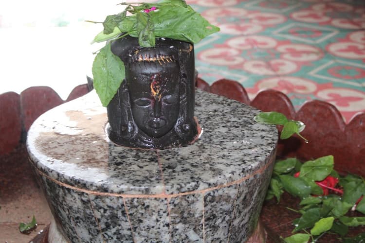 ठाकुरगंज में आस्था का अनोखा संगम, शिव–पार्वती की दुर्लभ प्रतिमा बनी आकर्षण