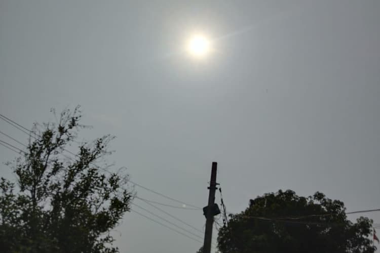 कटिहार में शुक्रवार को भी सुहाना रहेगा मौसम, 31 डिग्री पर थमेगा तापमान, गर्मी से मिलेगी राहत