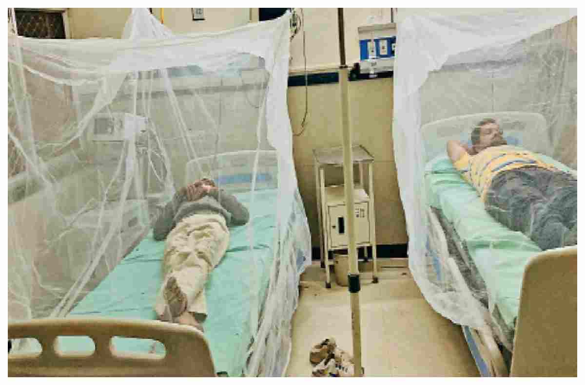 Muzaffarpur News: डेंगू को लेकर स्वास्थ्य विभाग अलर्ट, अस्पतालों में बनेंगे विशेष मच्छरदानी वाले वार्ड