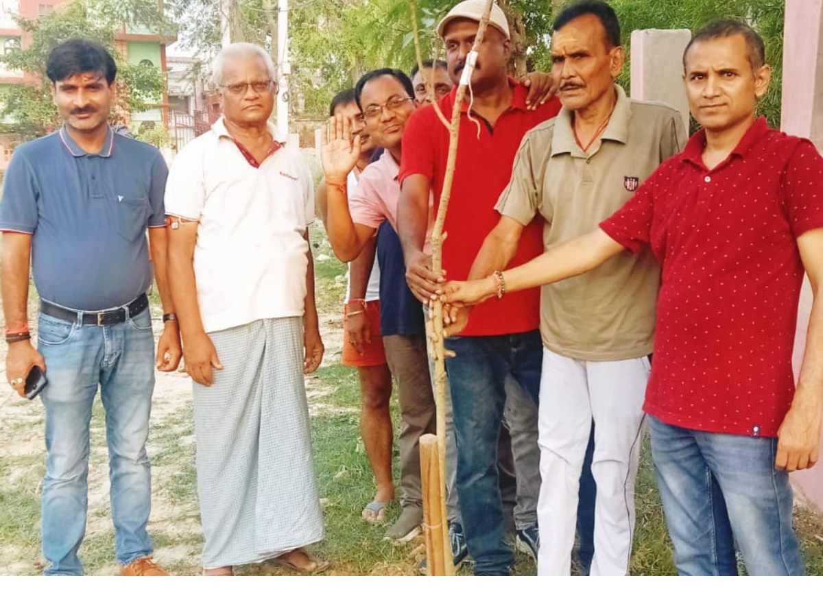 मधुबनी: पर्यावरण संरक्षण की अनोखी पहल, पुराने स्कूली दोस्तों ने मिलकर रोपे दर्जनों छायादार पौधे