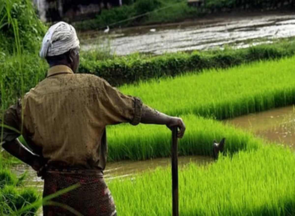 मोतिहारी: पूर्वी चंपारण में श्रम विभाग का रिकॉर्ड, 15.69 लाख कामगारों का ई-श्रम पोर्टल पर निबंधन