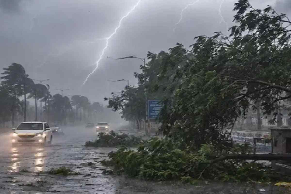 मोतिहारी: फेनहारा में आंधी-बारिश का कहर, विशाल पेड़ मकान पर गिरा